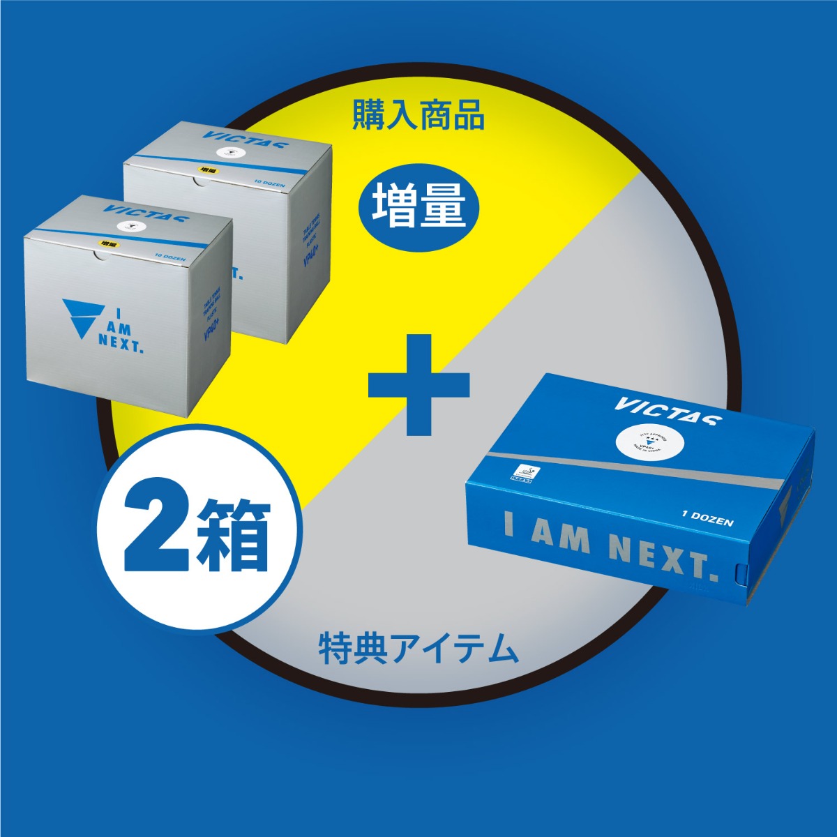 VP+40トレーニングボール10ダース10球増量箱 × 2箱 + VP40+3スターボール1ダース箱:1箱