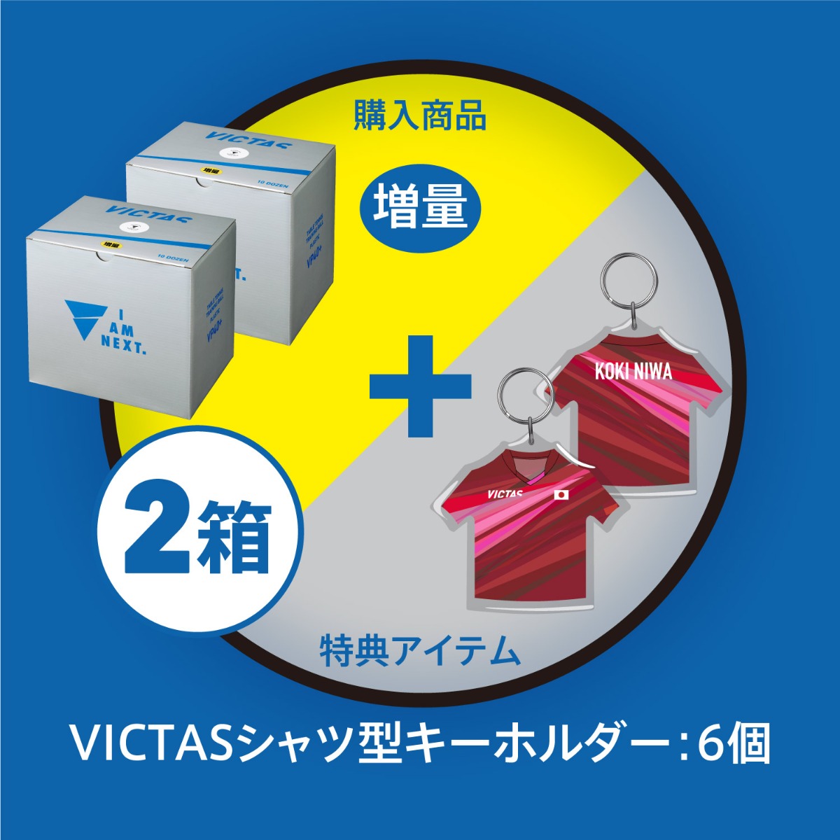 VP+40トレーニングボール10ダース10球増量箱 × 2箱 + VICTASシャツ型キーホルダー×6個