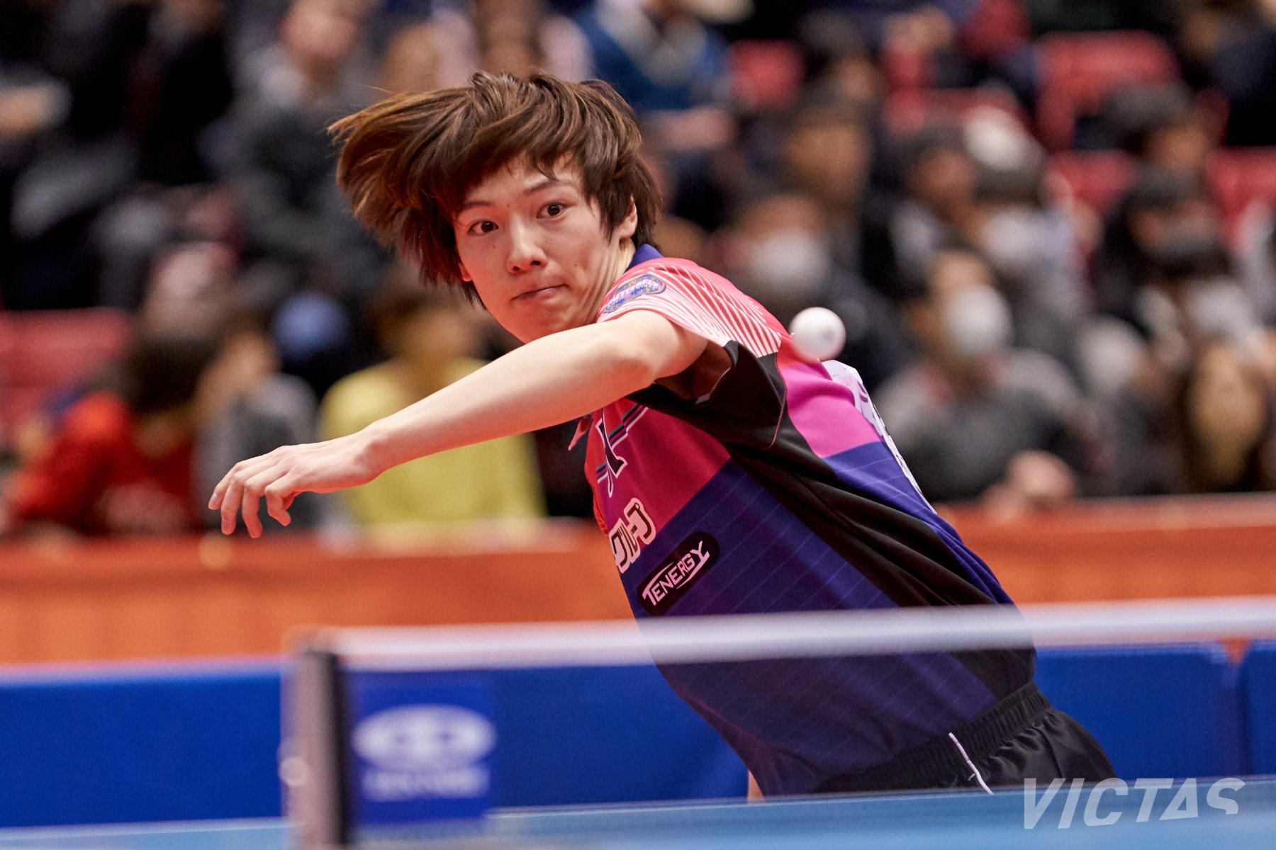 全日本卓球選手権大会6日目:男子シングルス準々決勝ピックアップ 全日本卓球選手権大会6日目:男子シングルス準々決勝ピックアップ