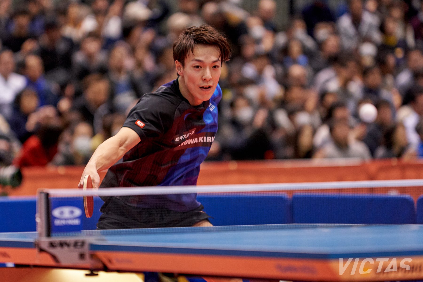 松平賢二のシングルス必勝戦術　3本セット 全日本卓球選手権大会6日目：男子シングルス準々決勝ピックアップ