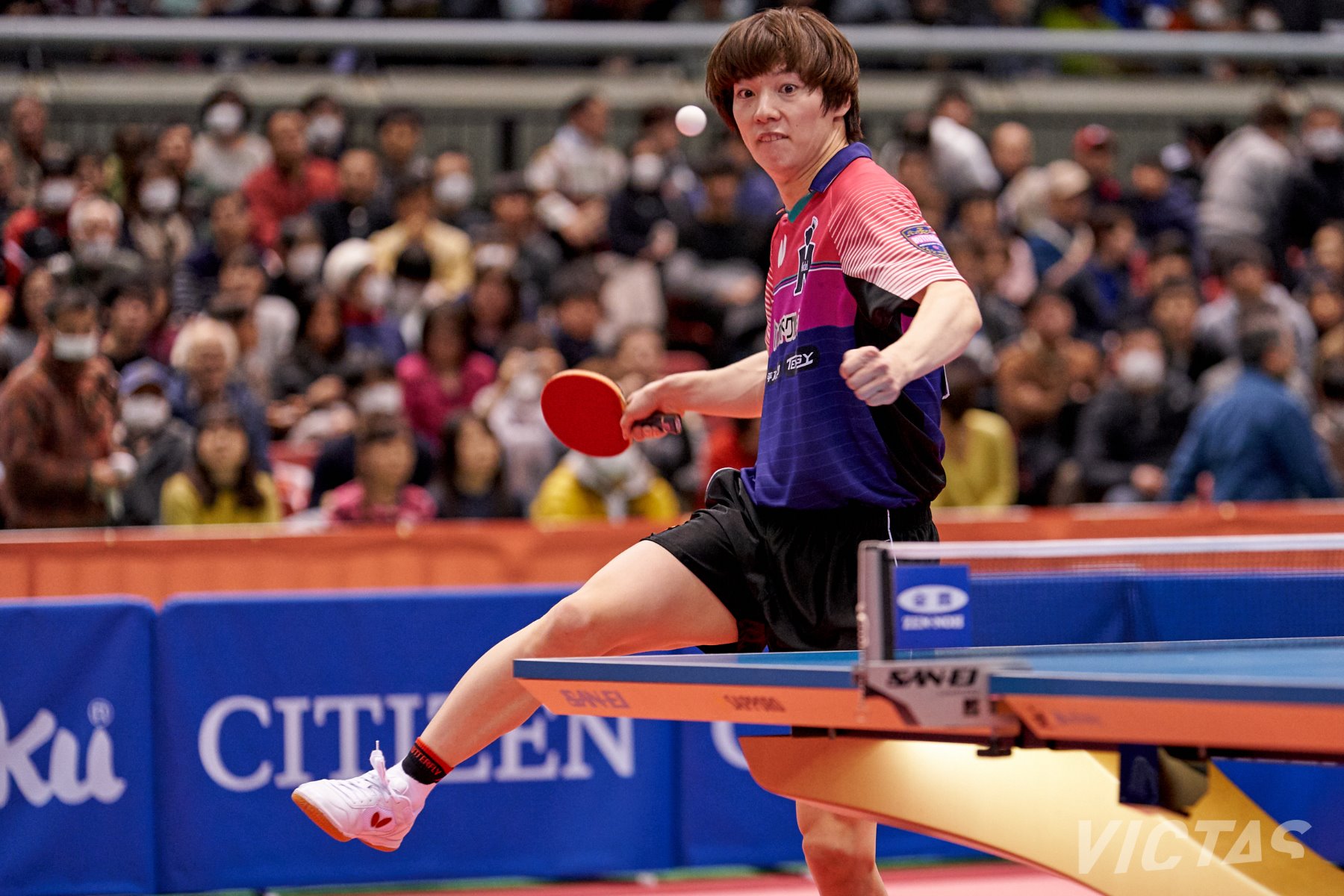 全日本卓球選手権大会6日目：男子シングルス準々決勝ピックアップ